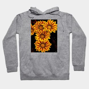 Five Floral Sisters Hoodie